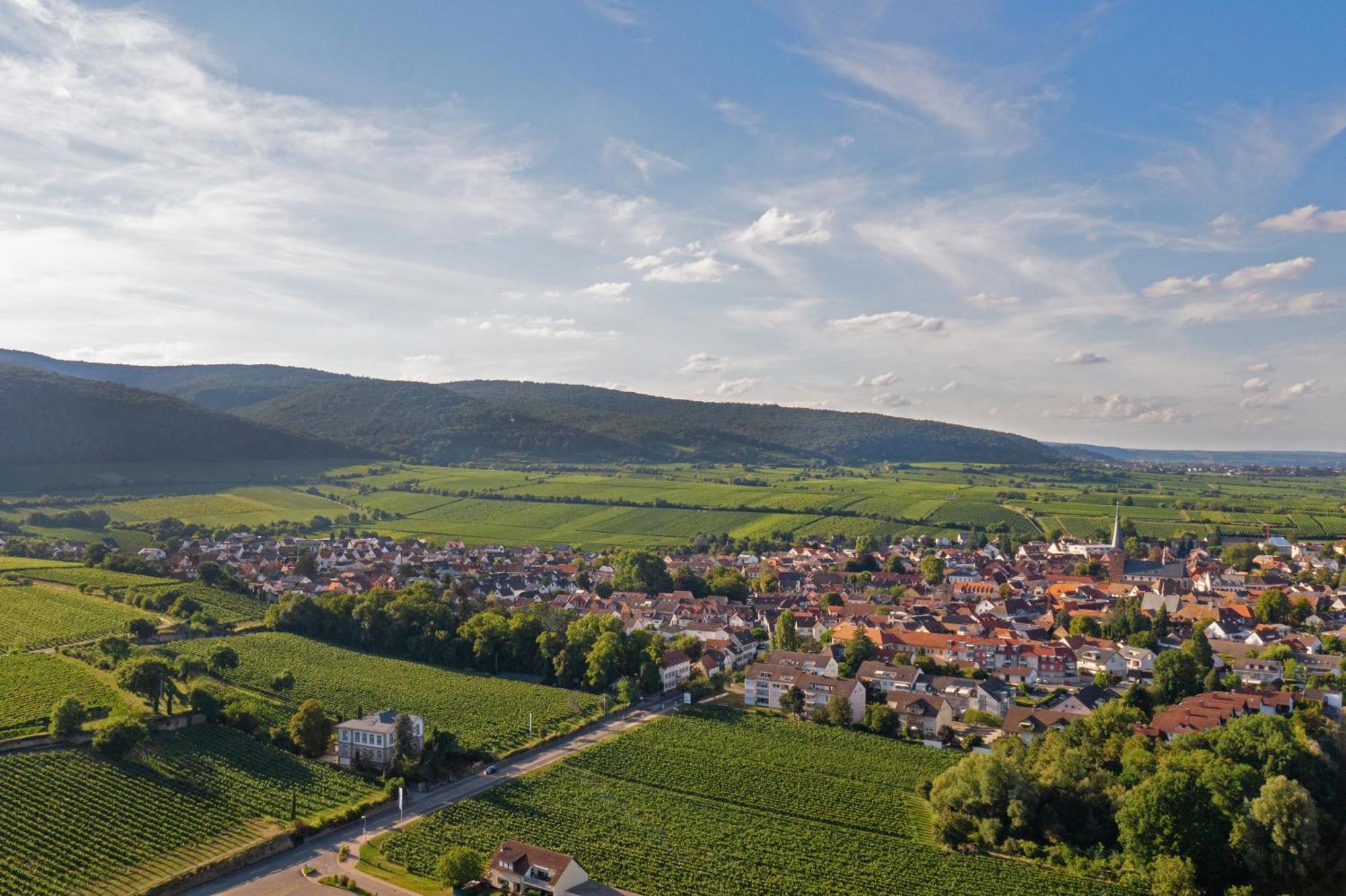 Deidesheimer Haus Exteriér fotografie